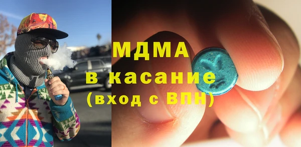 индика Горнозаводск