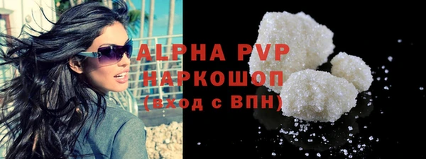 индика Горнозаводск