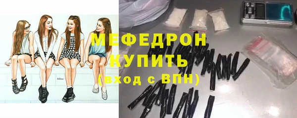 индика Горнозаводск