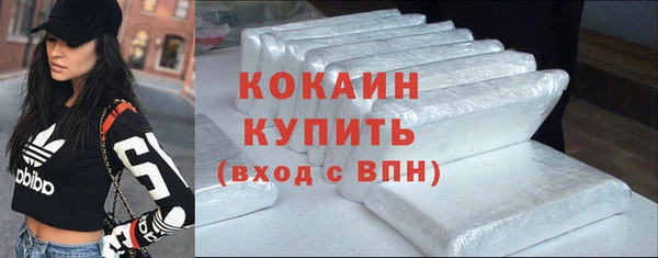 индика Горнозаводск