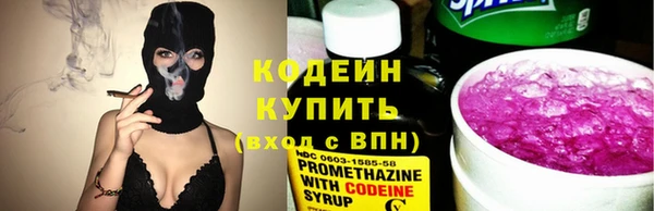 индика Горнозаводск