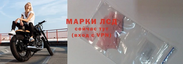 индика Горнозаводск