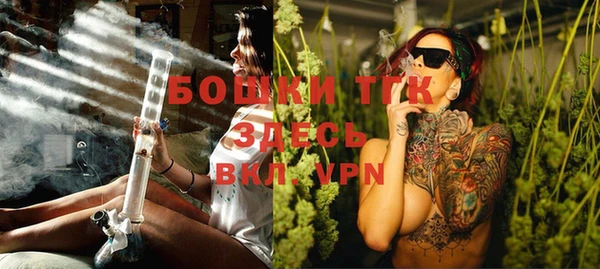 индика Горнозаводск