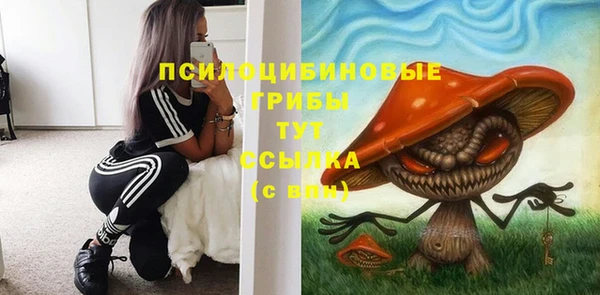 крисы Нефтекумск