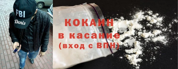 индика Горнозаводск