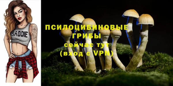 крисы Нефтекумск