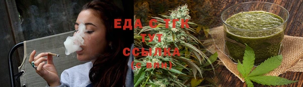 индика Горнозаводск