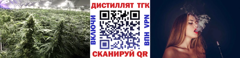 Дистиллят ТГК Wax Омутнинск